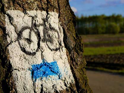 Le gîte la Bignone vous loue des vélos pour profiter de la nature